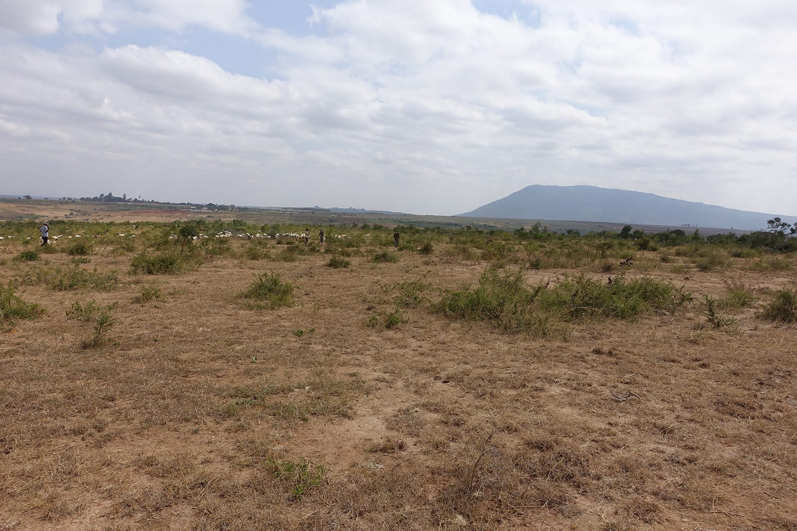 EC-before Before picture of Environmental Conservation site